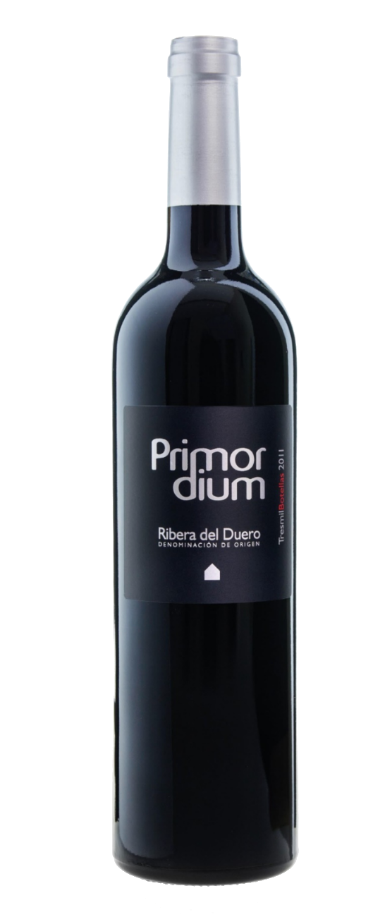 Primordium