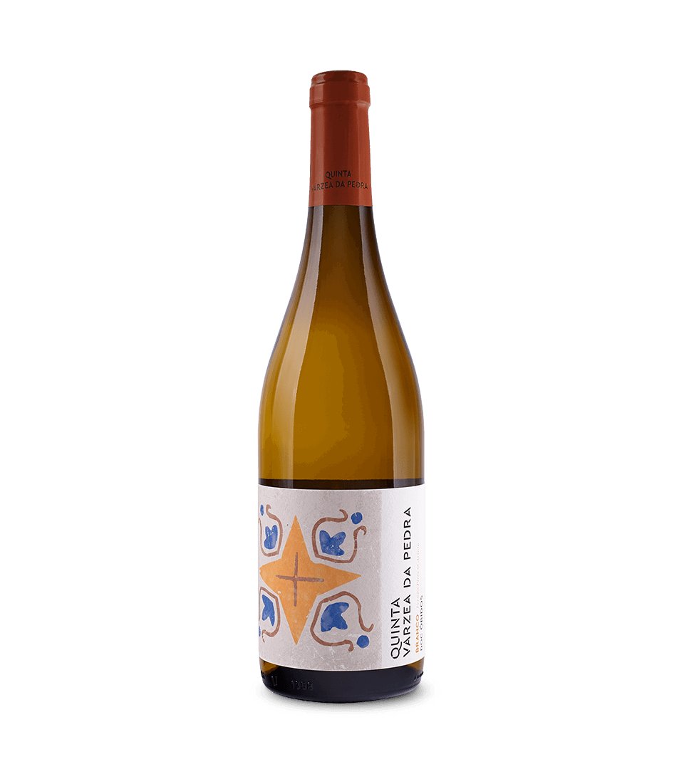 Branco Colheita