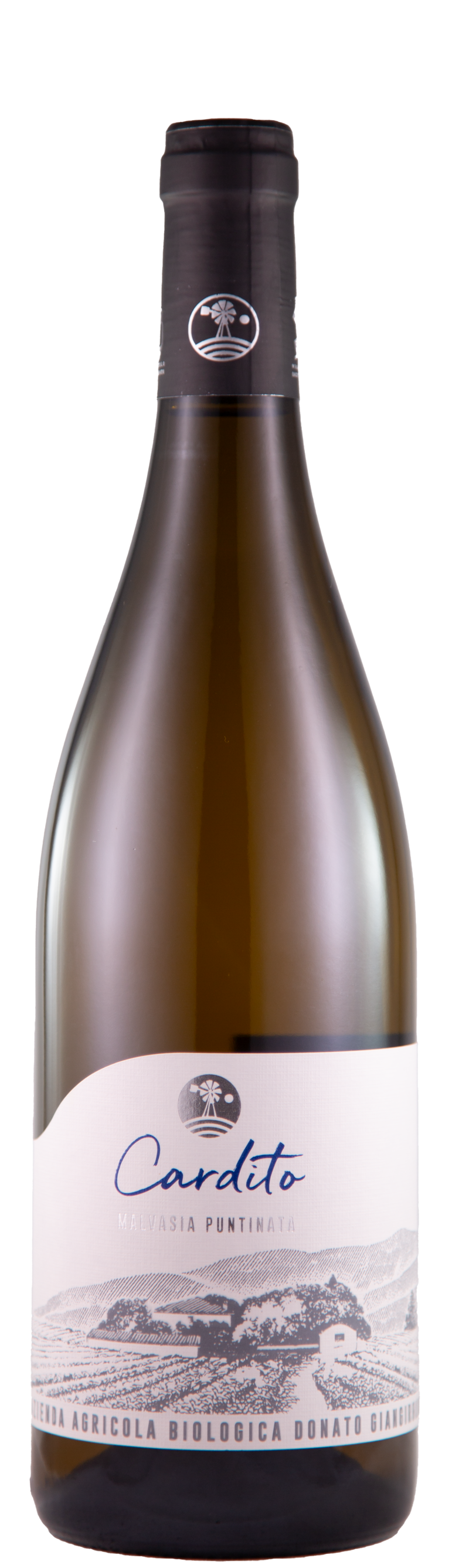 Malvasia ‘Cardito’