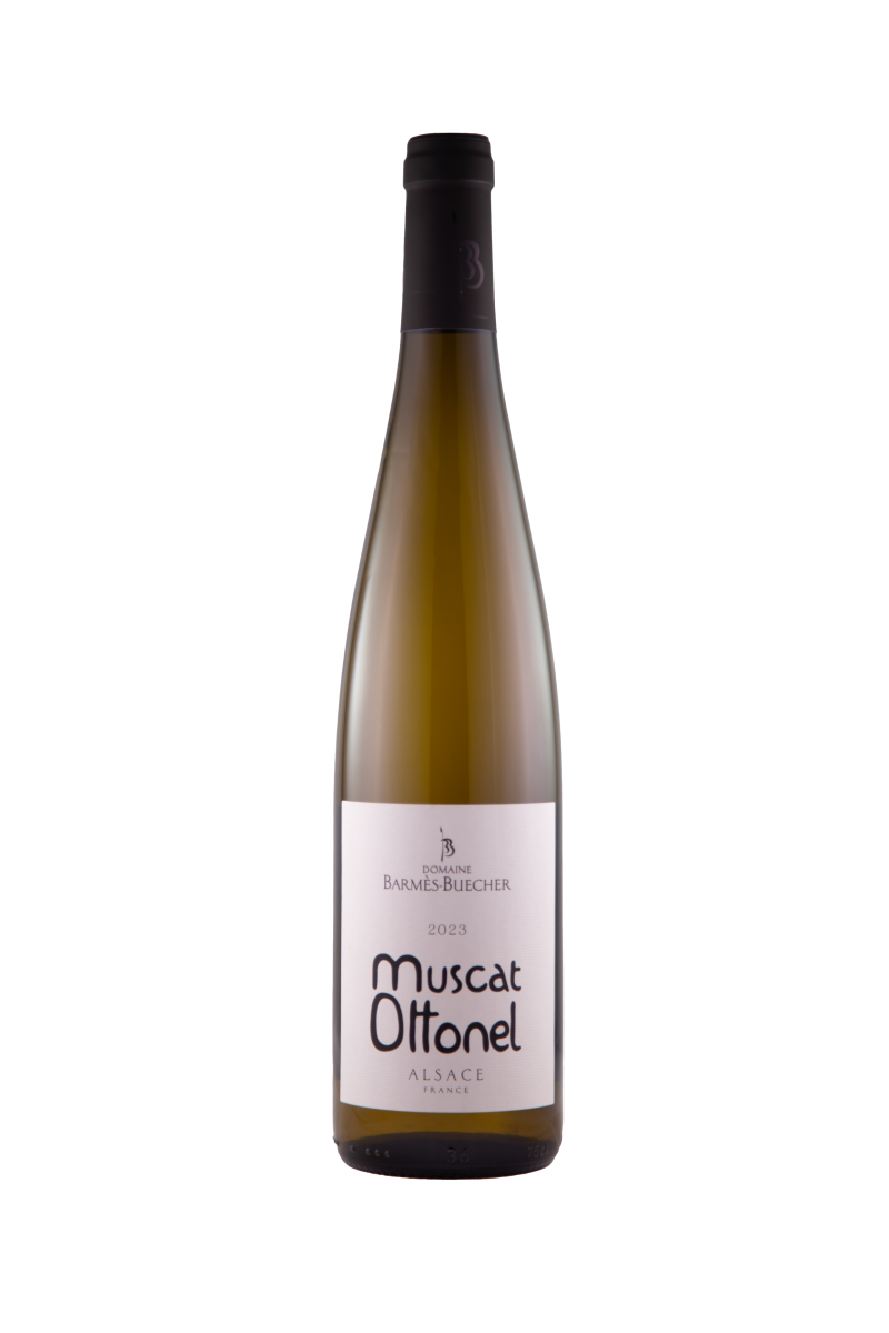 Muscat Ottonel