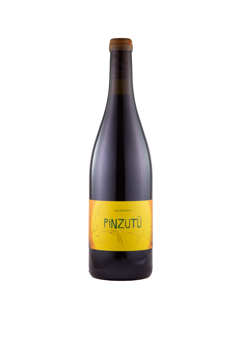 Pinzutu