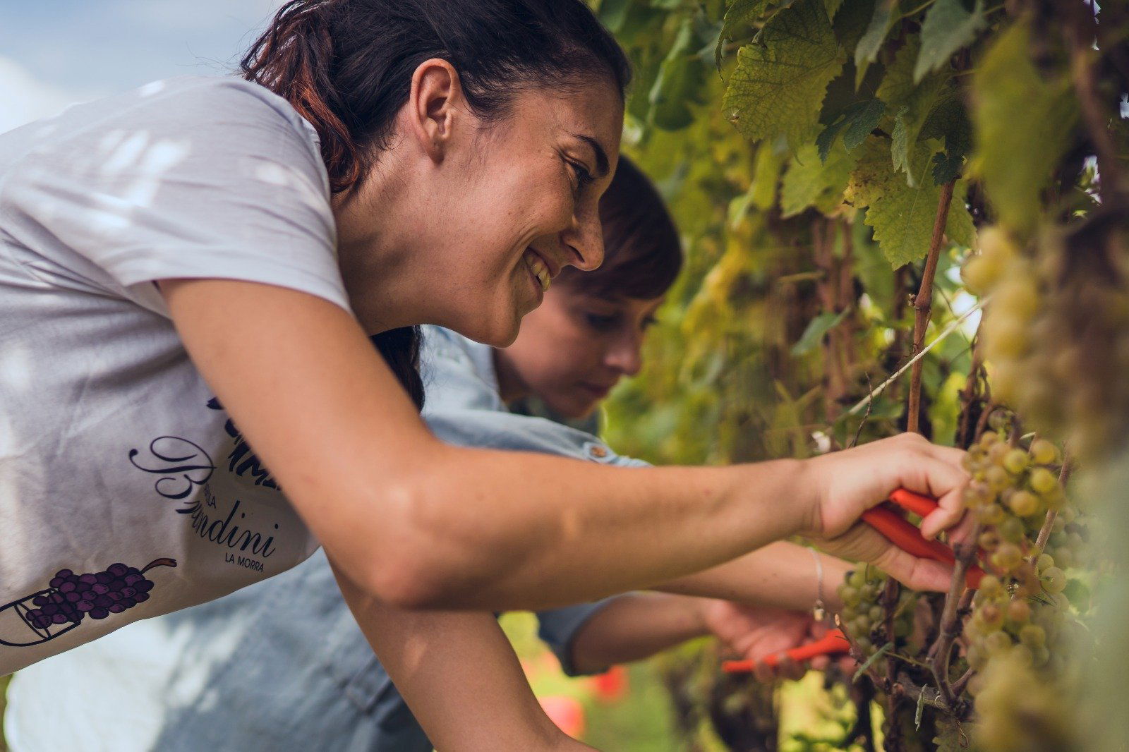 Dolcetto d'Alba 'Filari Lunghi'