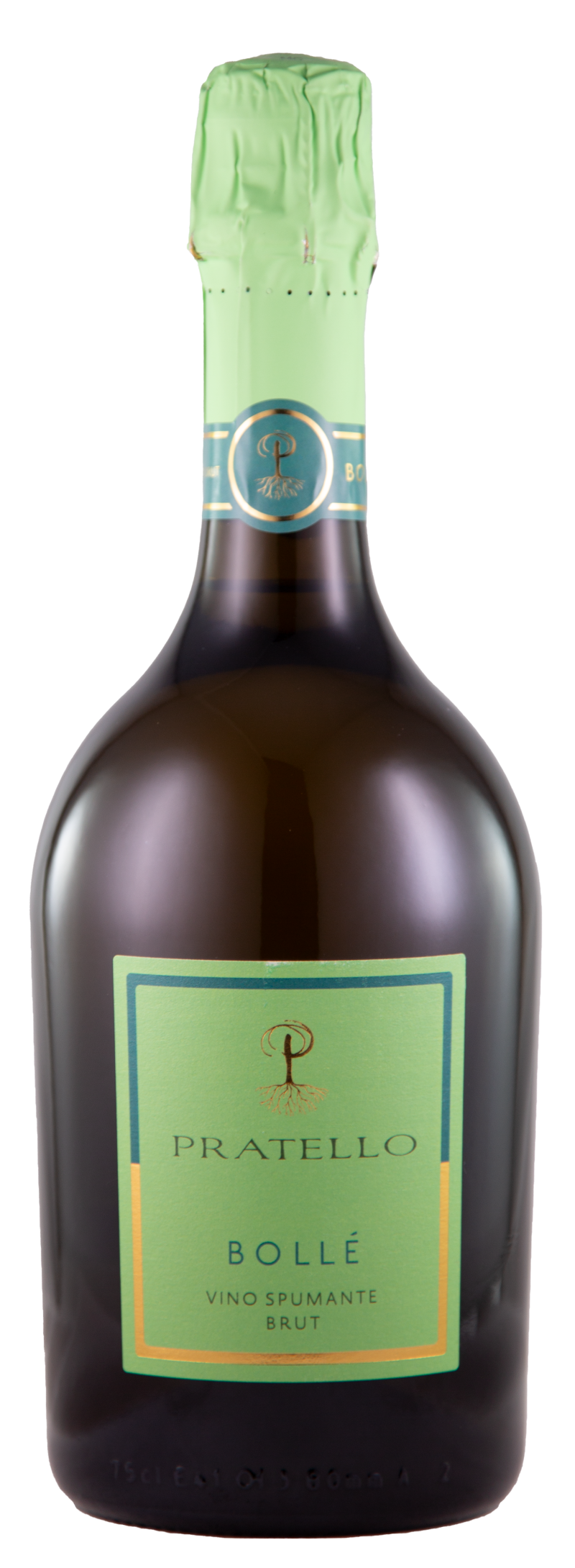 Bollé Lugana Brut