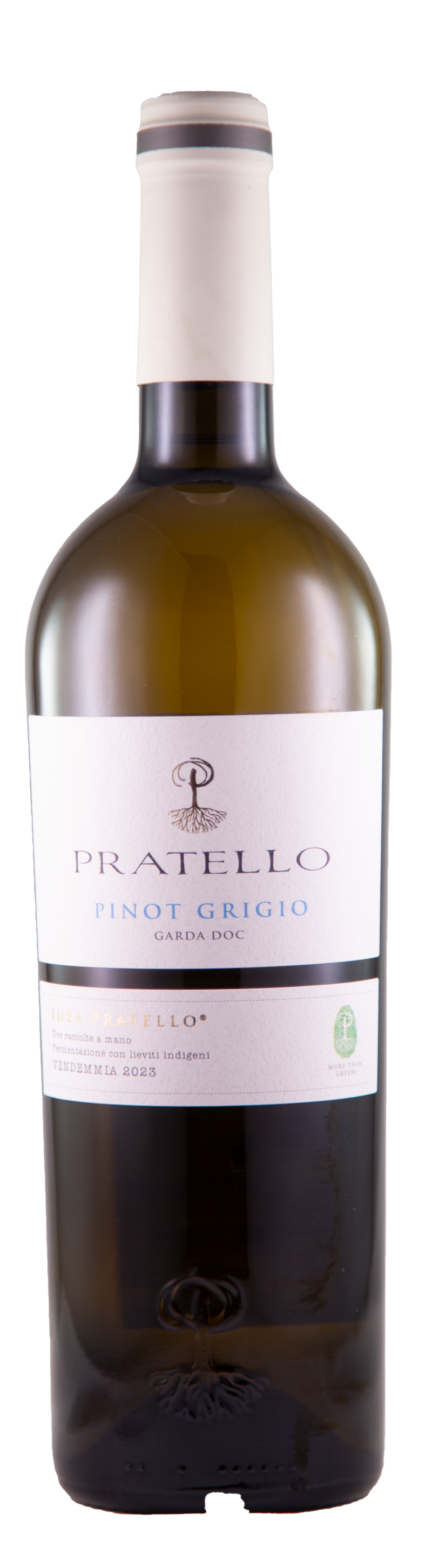 Pinot Grigio Garda