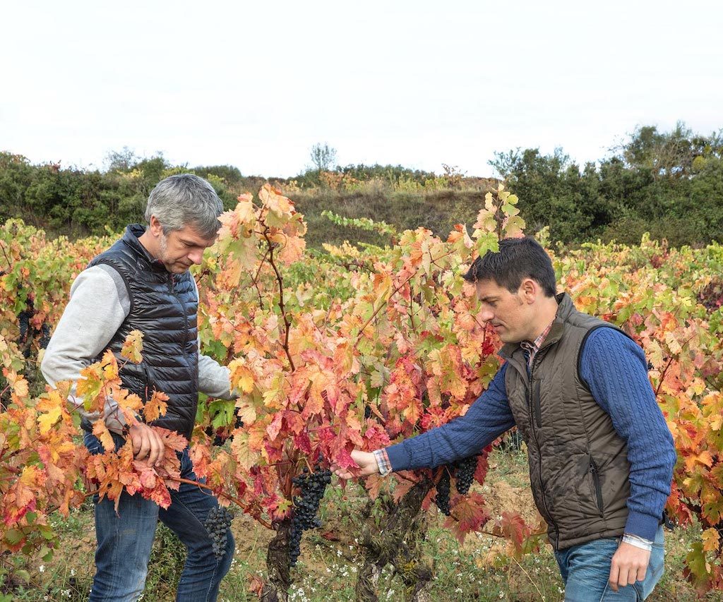 Magnum Rioja Pancrudo