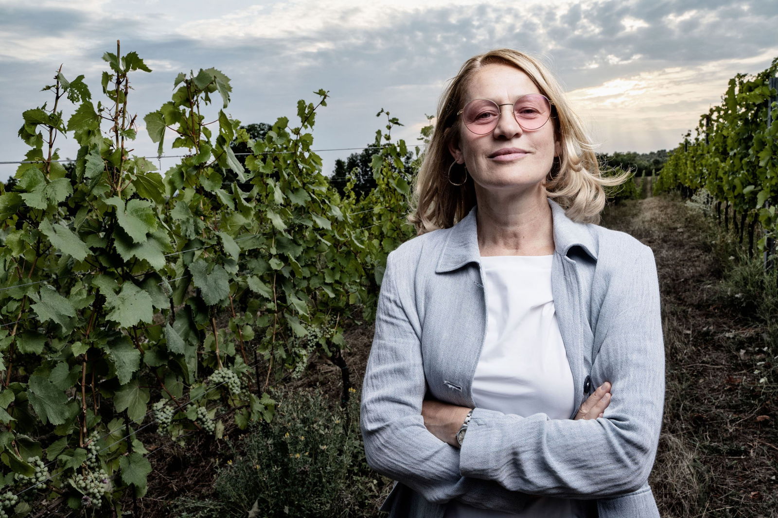 Magnum ´Carnuntum' Rot