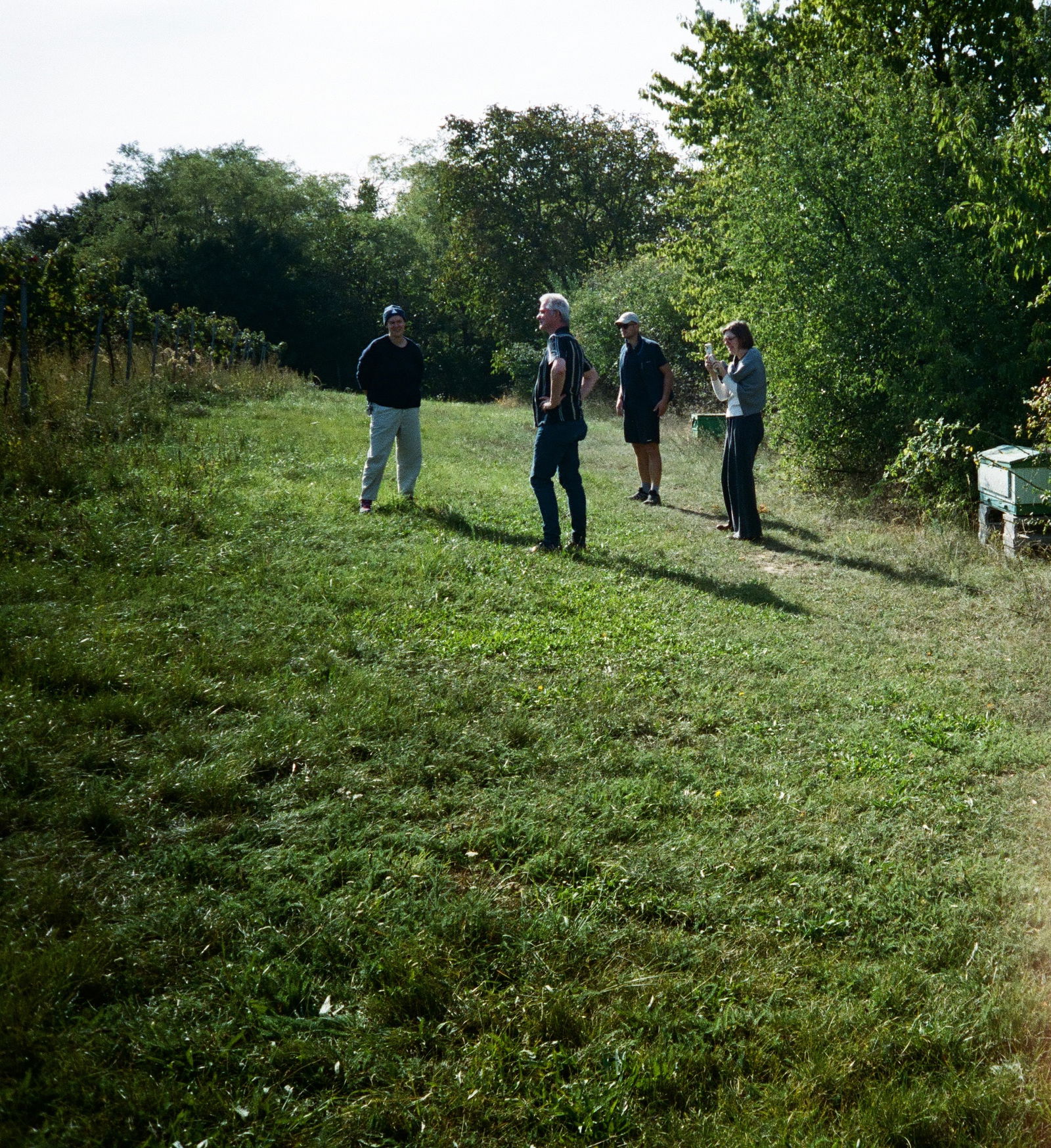 Slobodné Vinárstvo