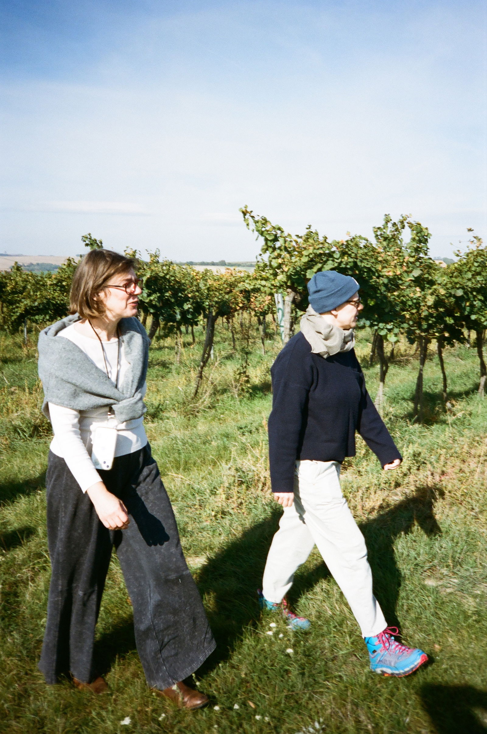 Slobodné Vinárstvo