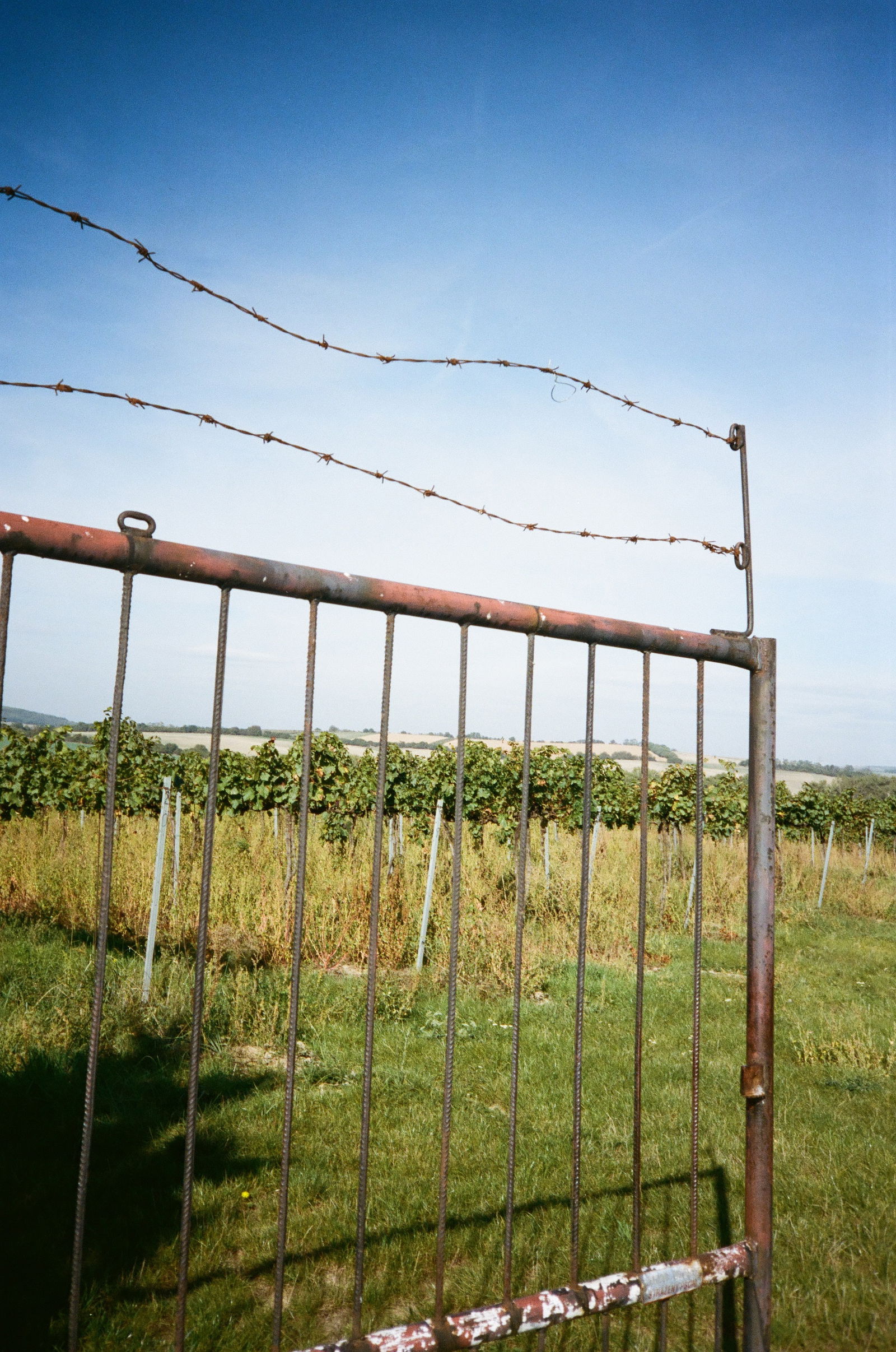 Slobodné Vinárstvo