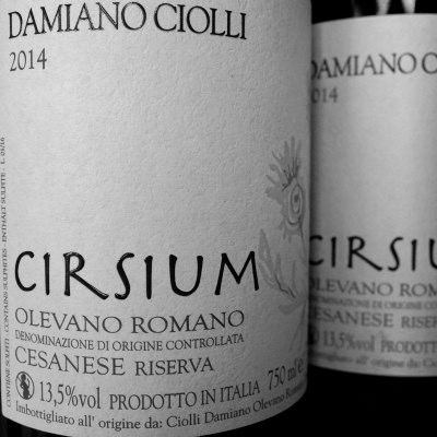 img-Damiano Ciolli