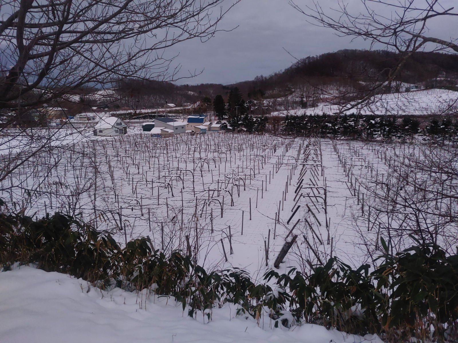 Domaine Takahiko