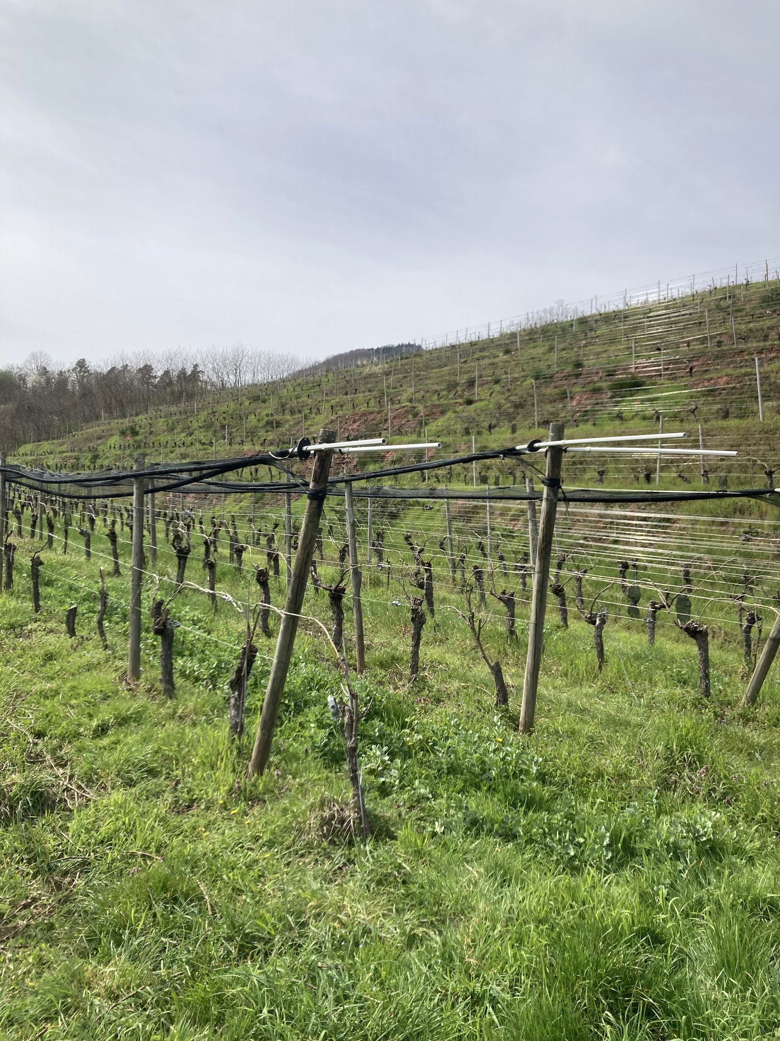 La Ferme des 9 Chemins