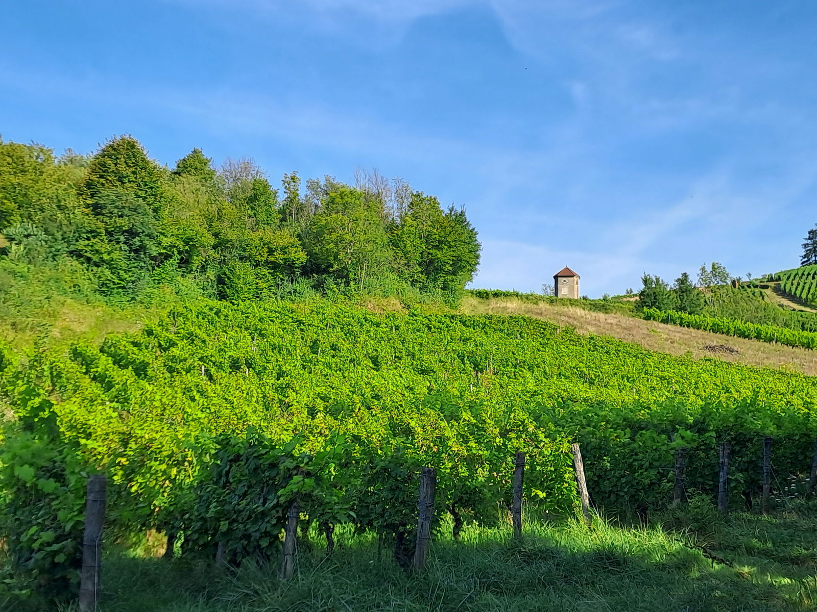 Domaine de l'Octavin