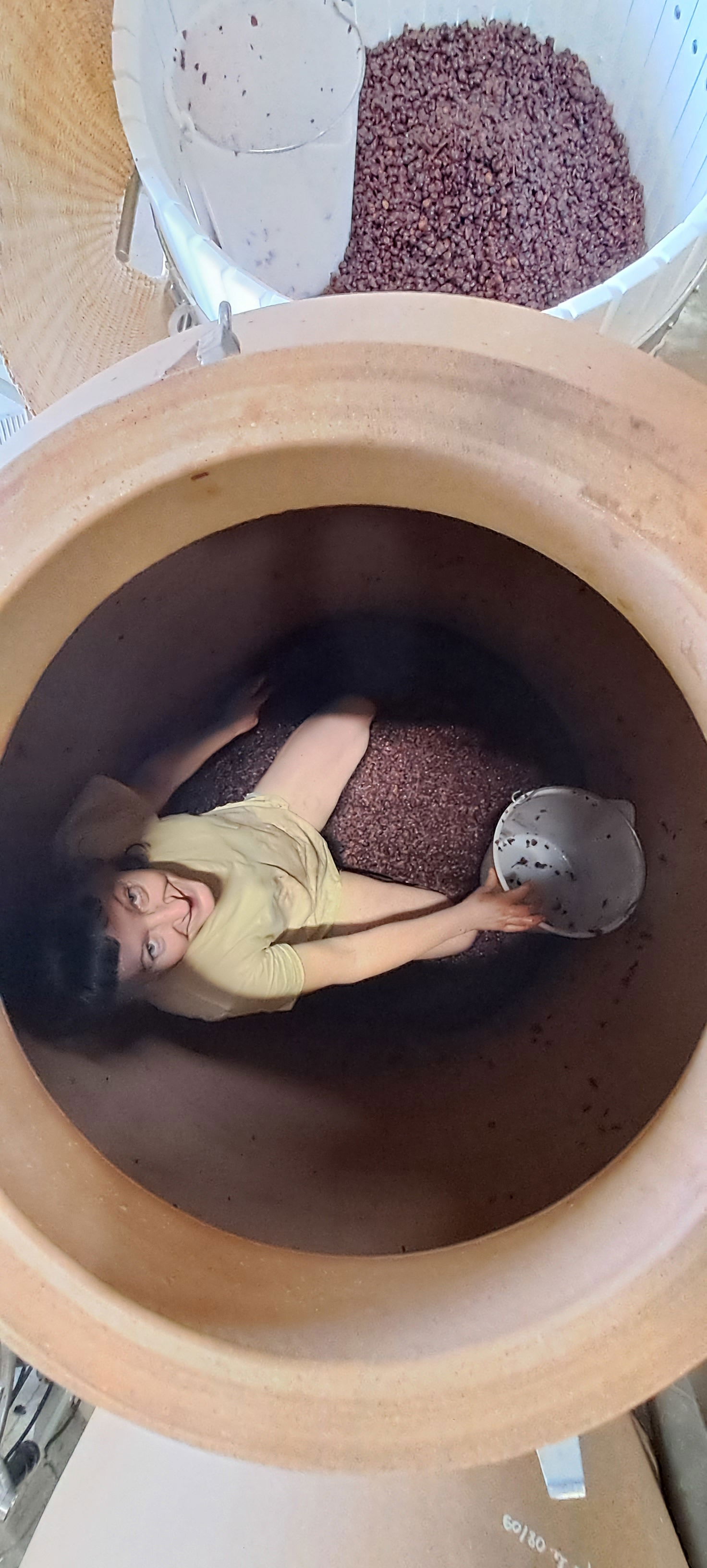 Domaine de l'Octavin