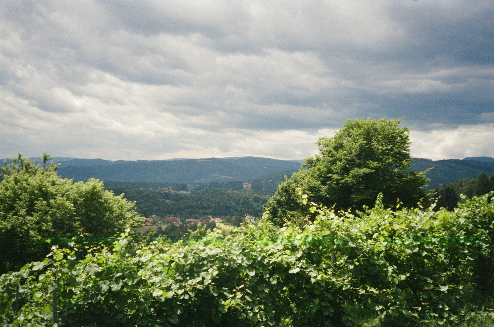 Weingut Strohmeier