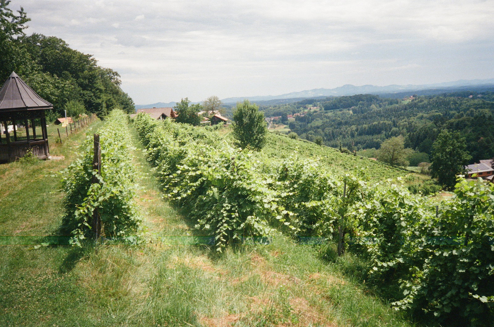 Weingut Strohmeier