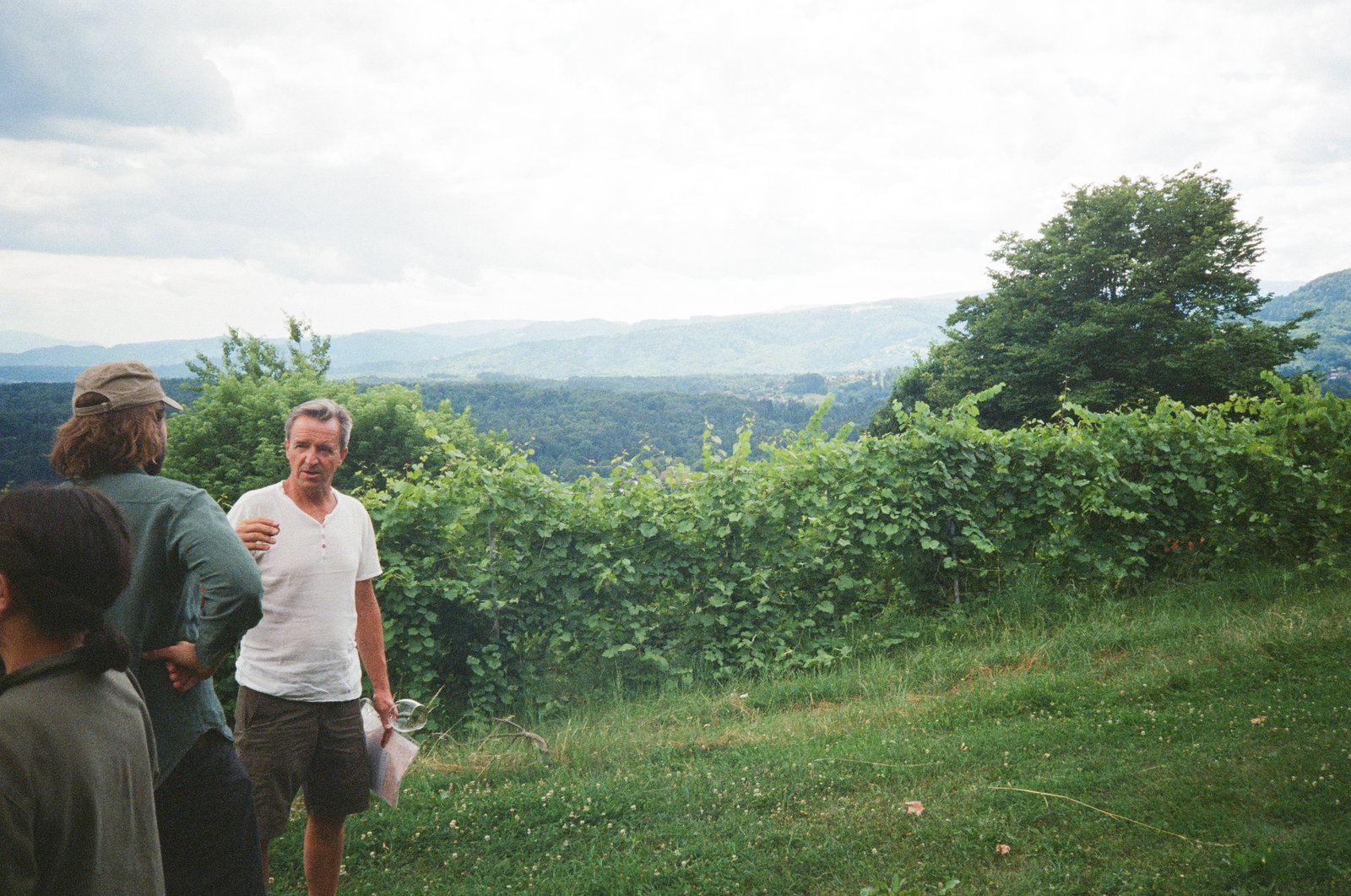 Weingut Strohmeier