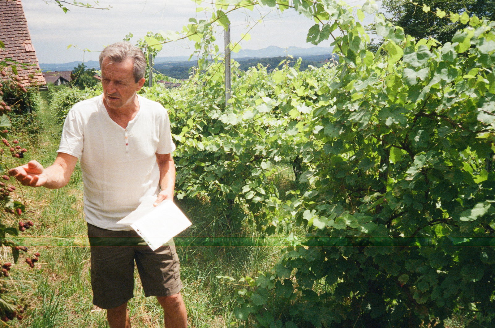 Weingut Strohmeier