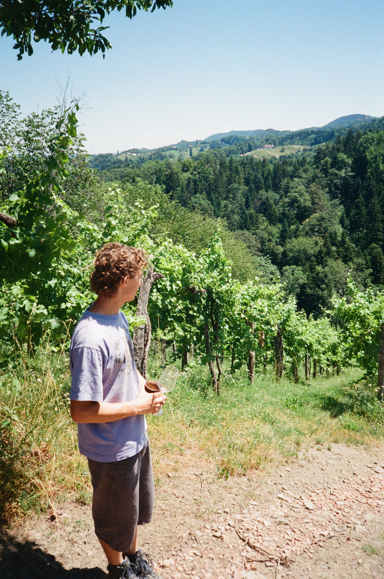Weingut Maria & Sepp Muster