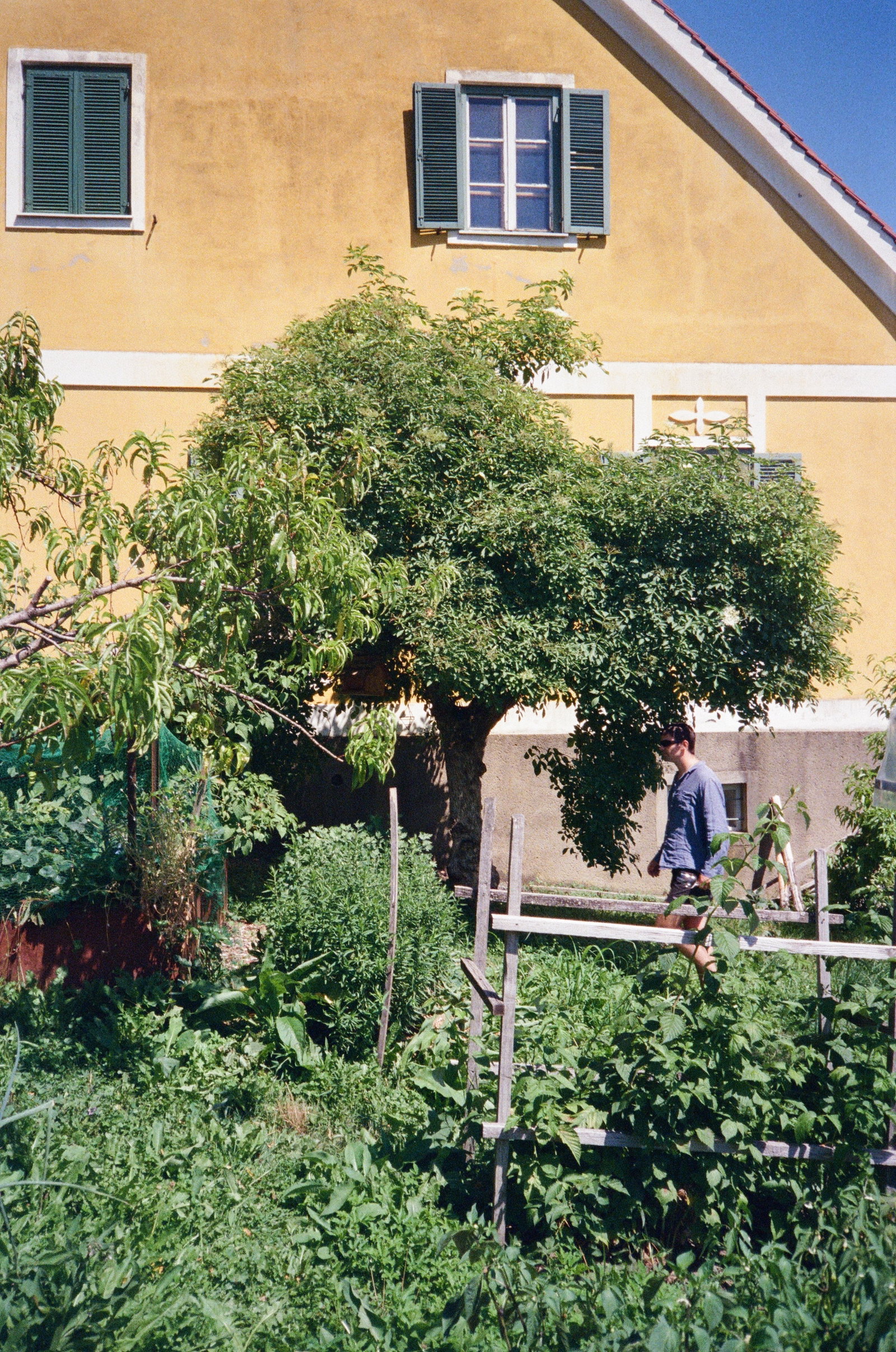Weingut Maria & Sepp Muster