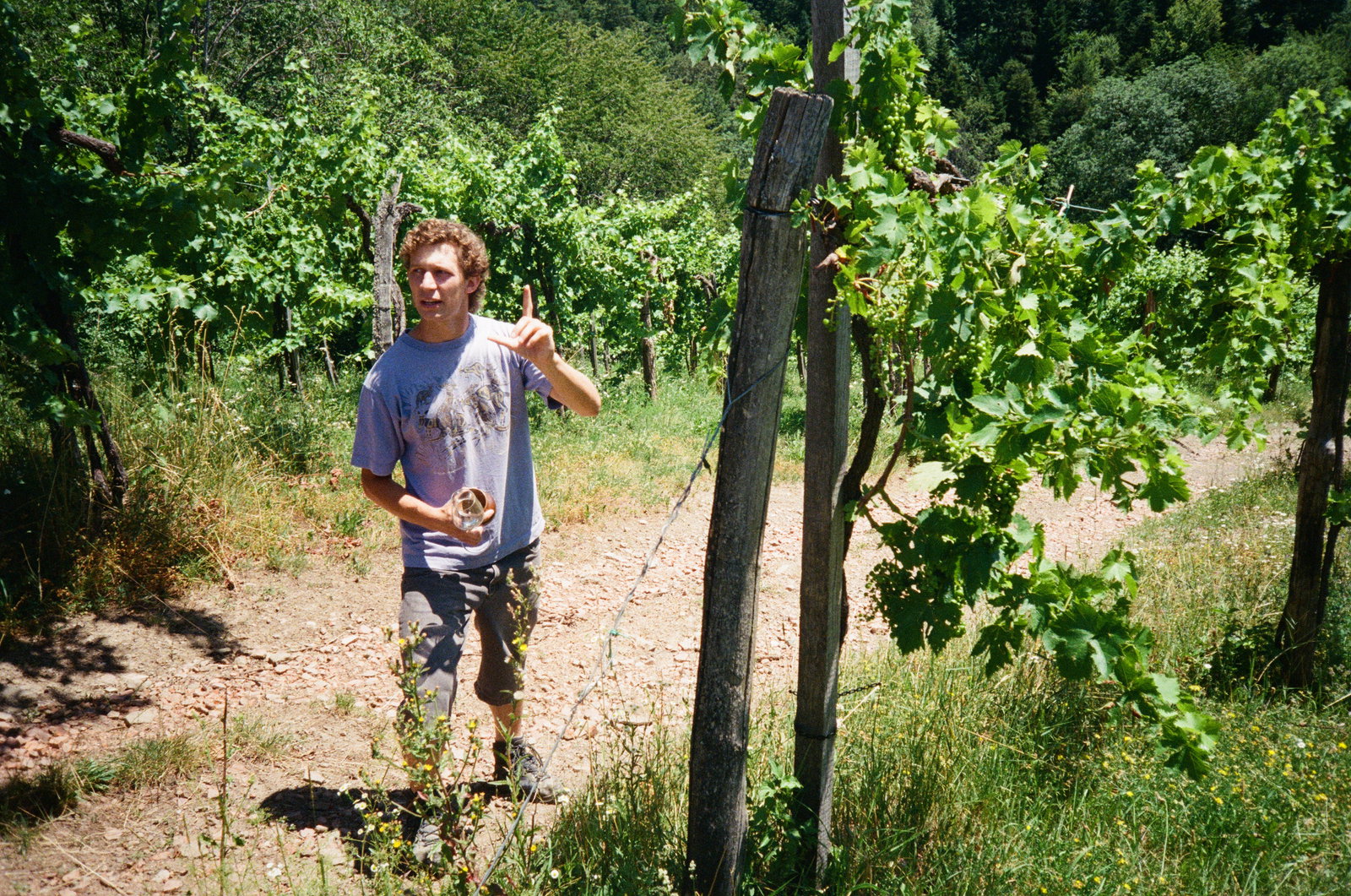 Weingut Maria & Sepp Muster
