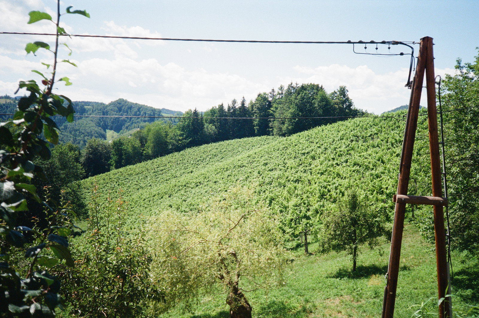 Weingut Maria & Sepp Muster