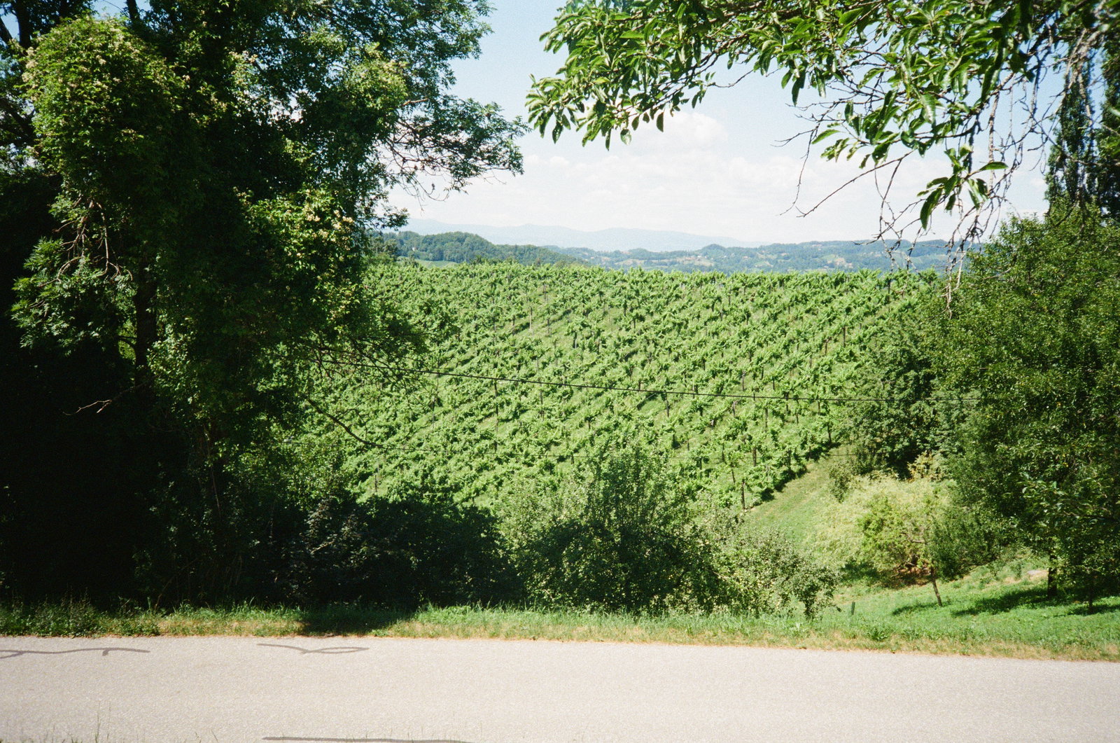 Weingut Maria & Sepp Muster