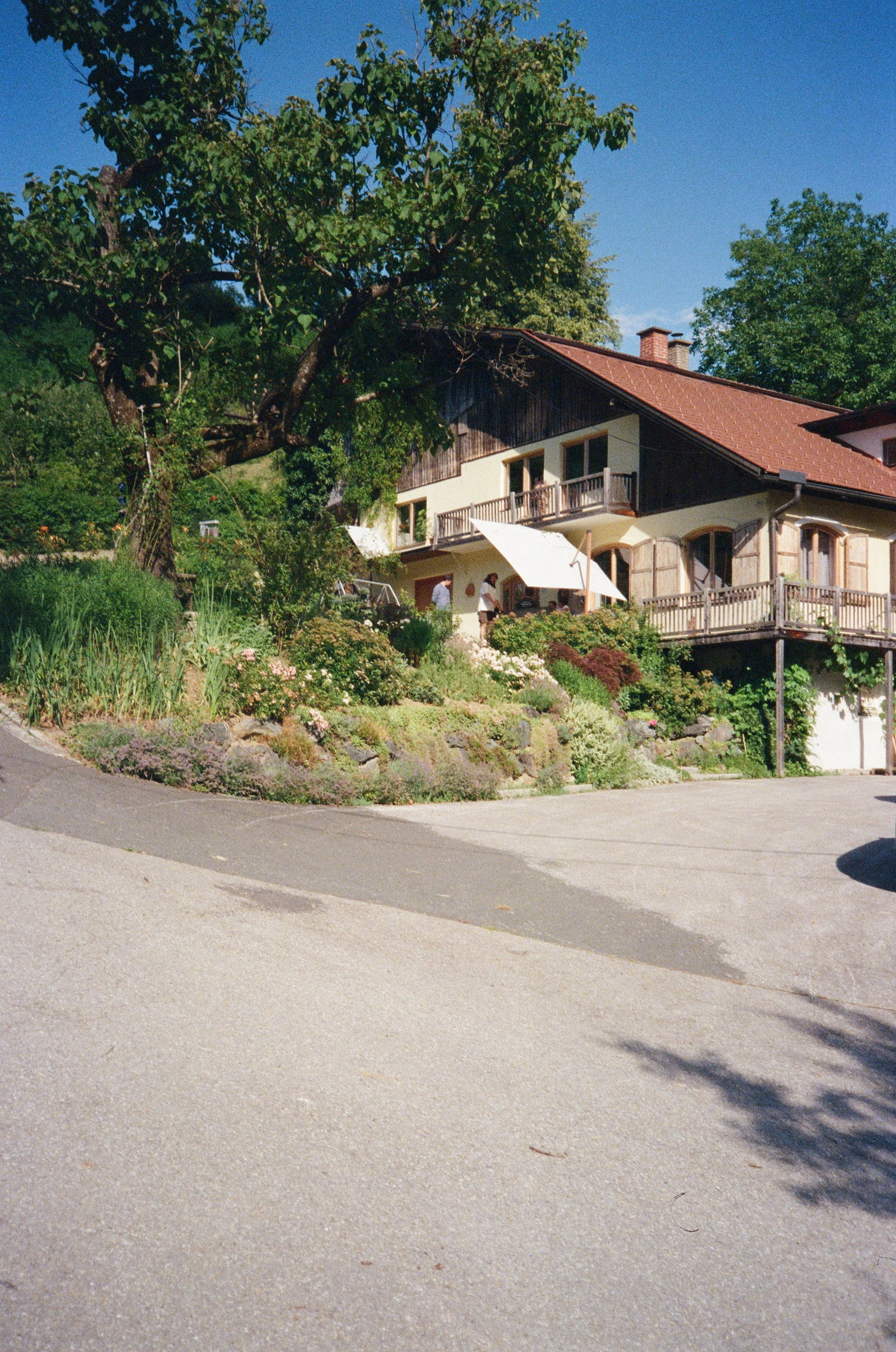 Weingut Werlitsch