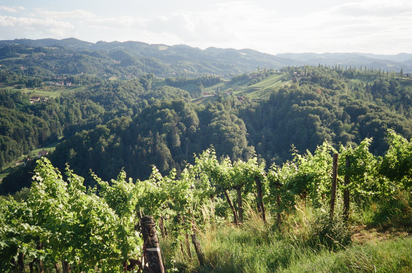 Weingut Werlitsch