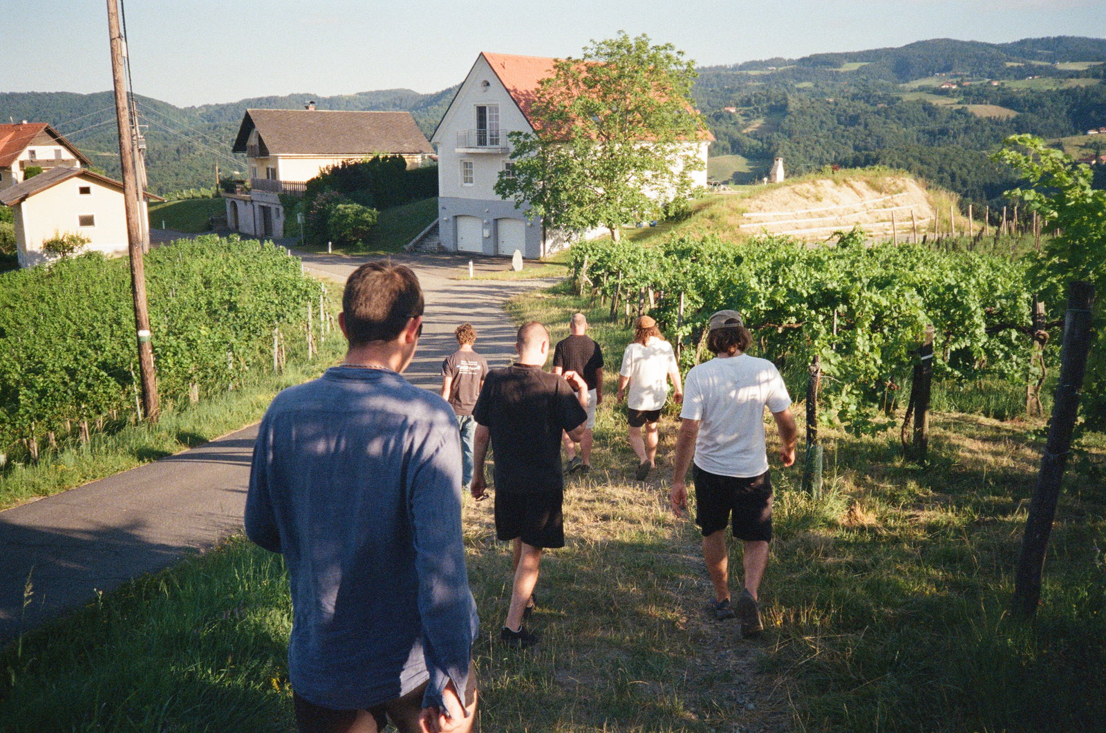 Weingut Werlitsch