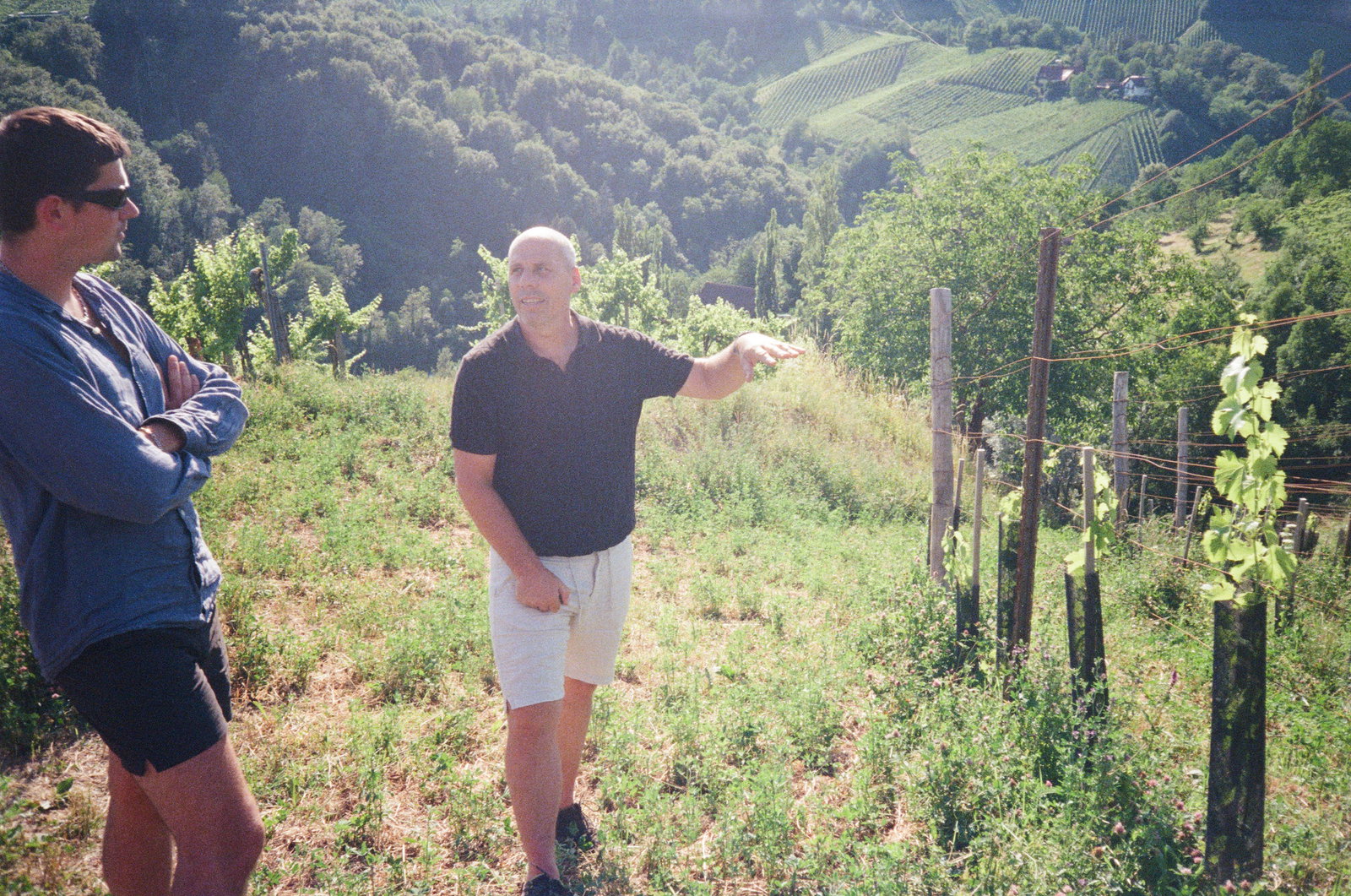 Weingut Werlitsch