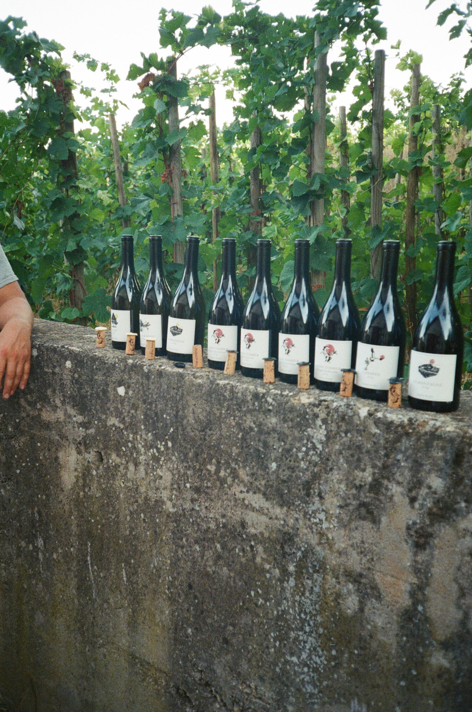 Bastian Wolber — Laisse Tomber
