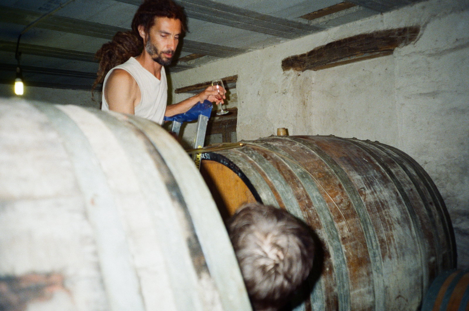Domaine des Cavarodes
