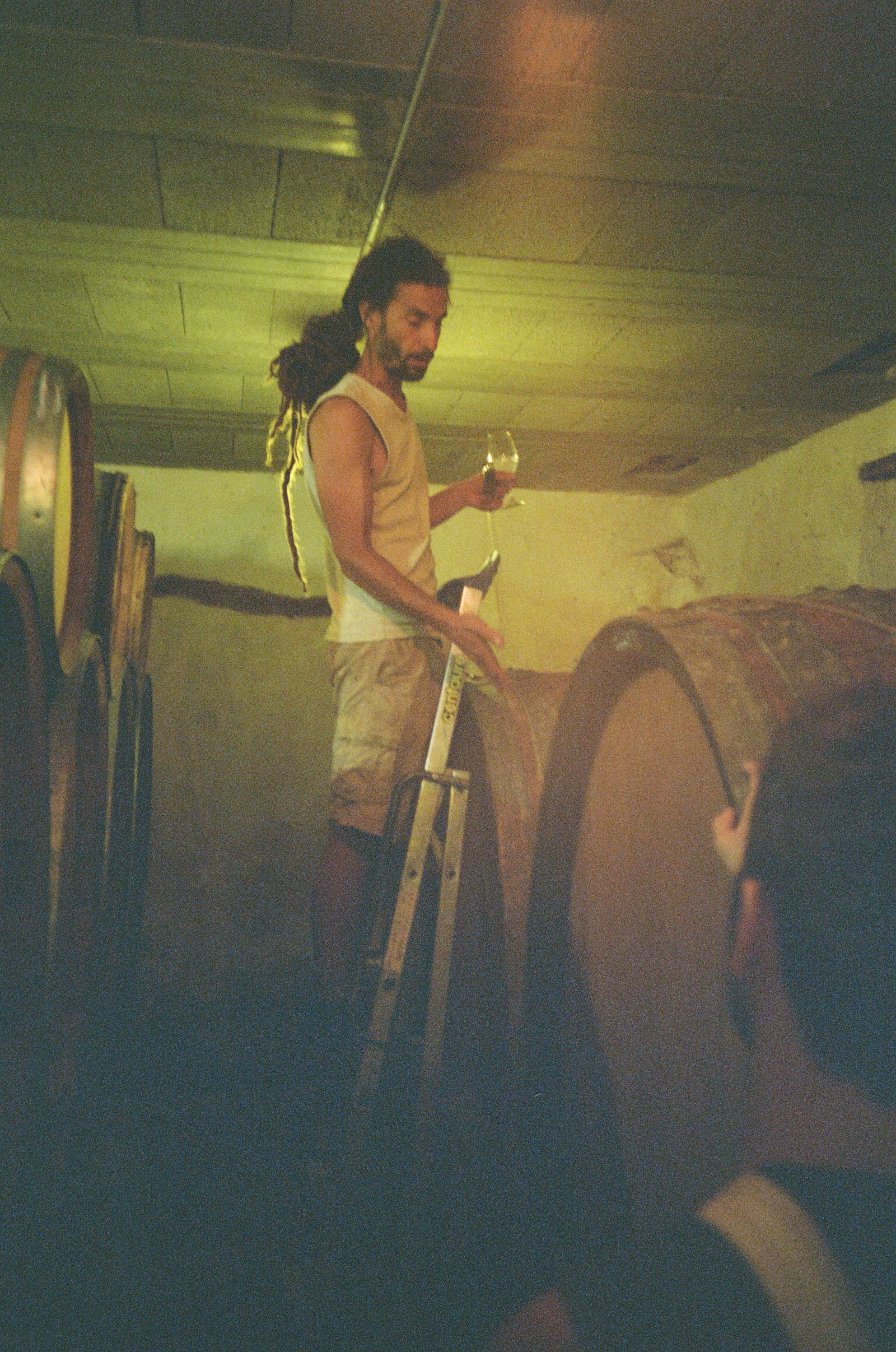 Domaine des Cavarodes