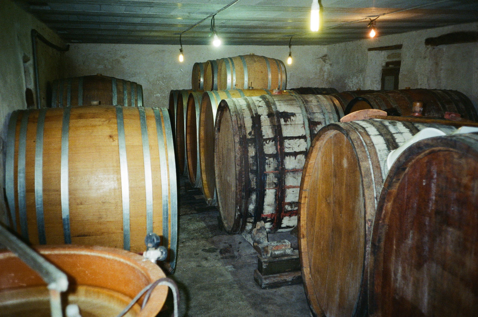 Domaine des Cavarodes