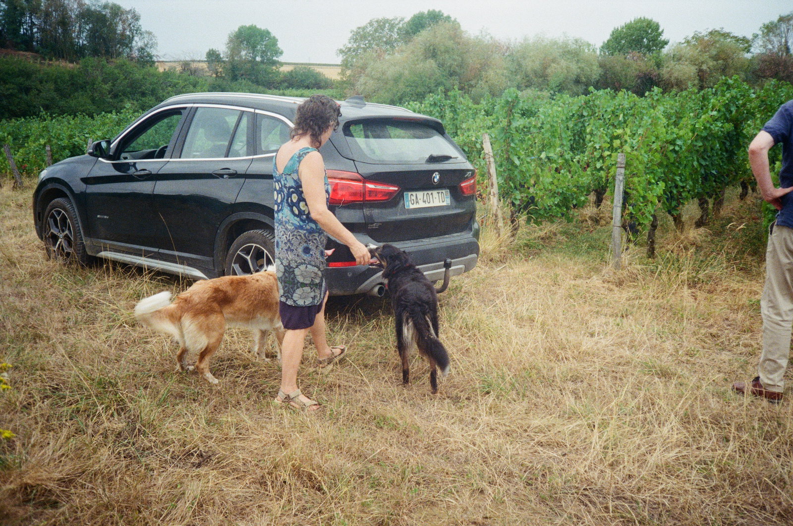 Domaine de l'Octavin