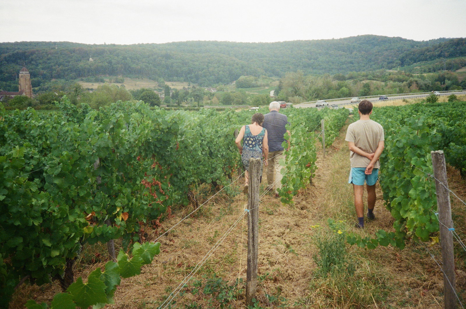 Domaine de l'Octavin