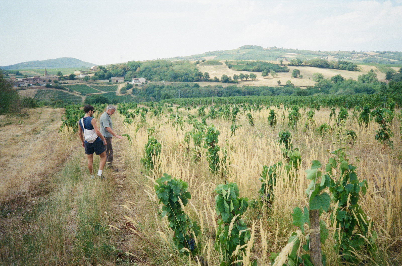 Domaine Philippe Jambon