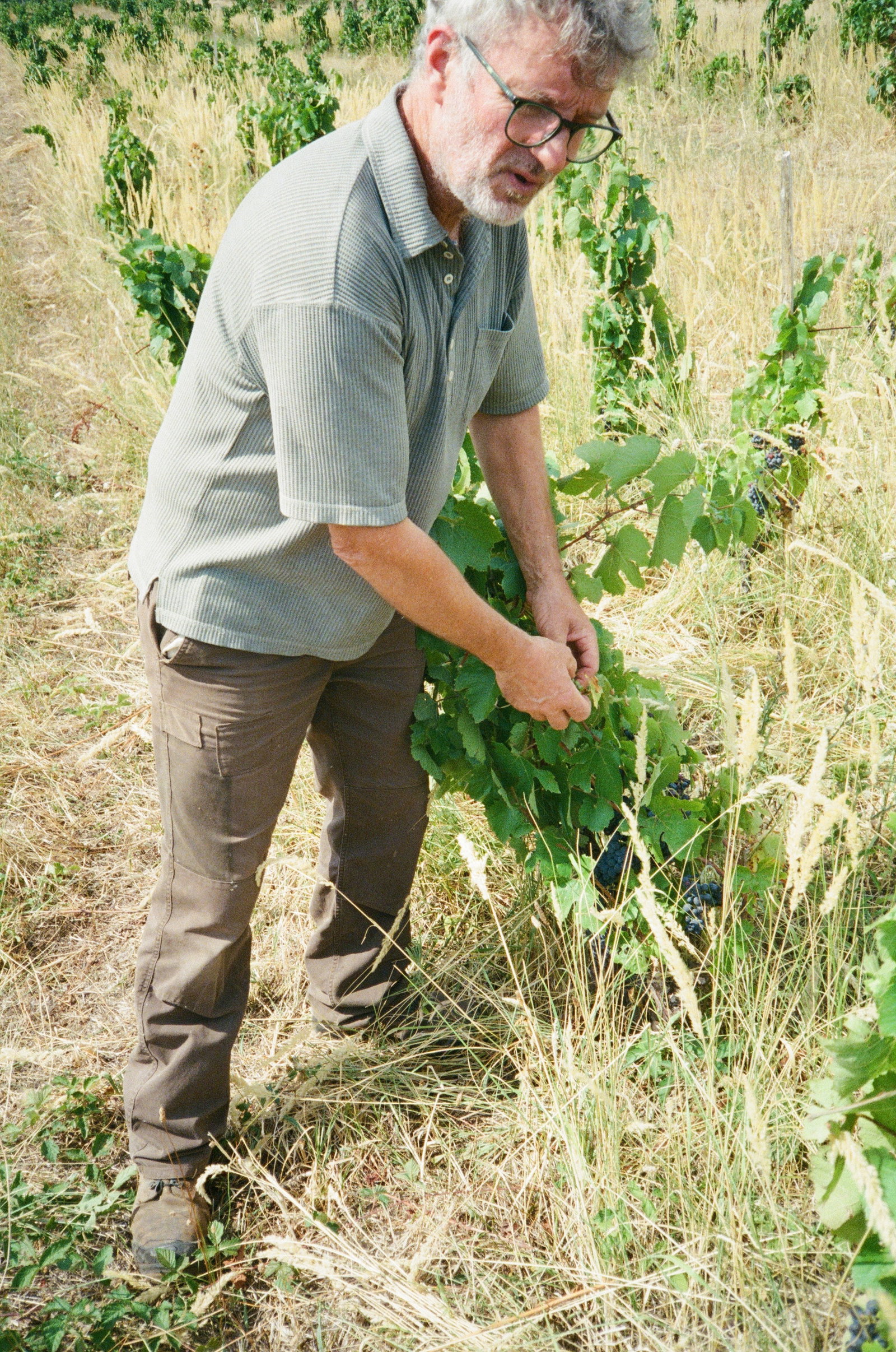 Domaine Philippe Jambon