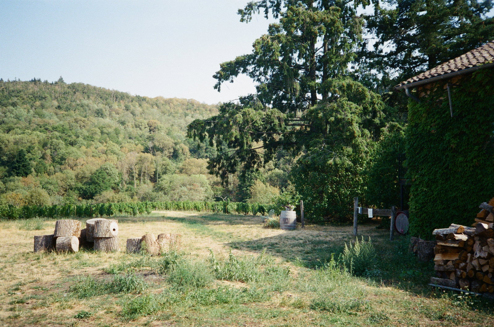 Domaine Yvon Métras