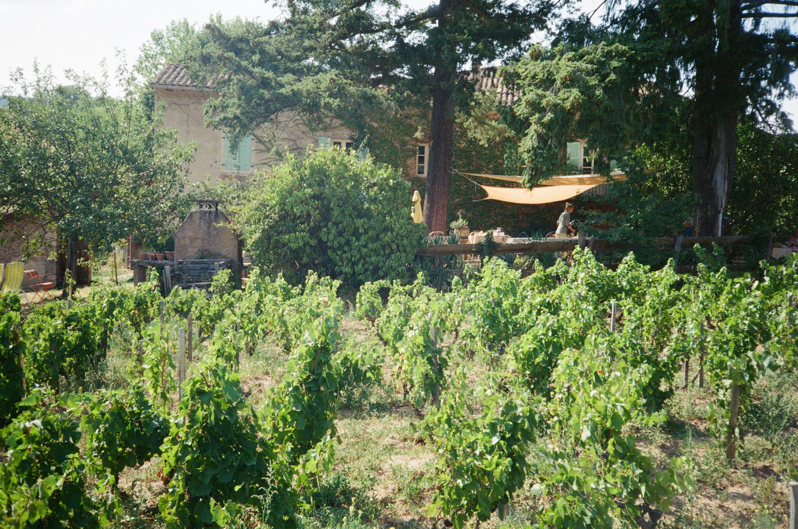 Domaine Yvon Métras