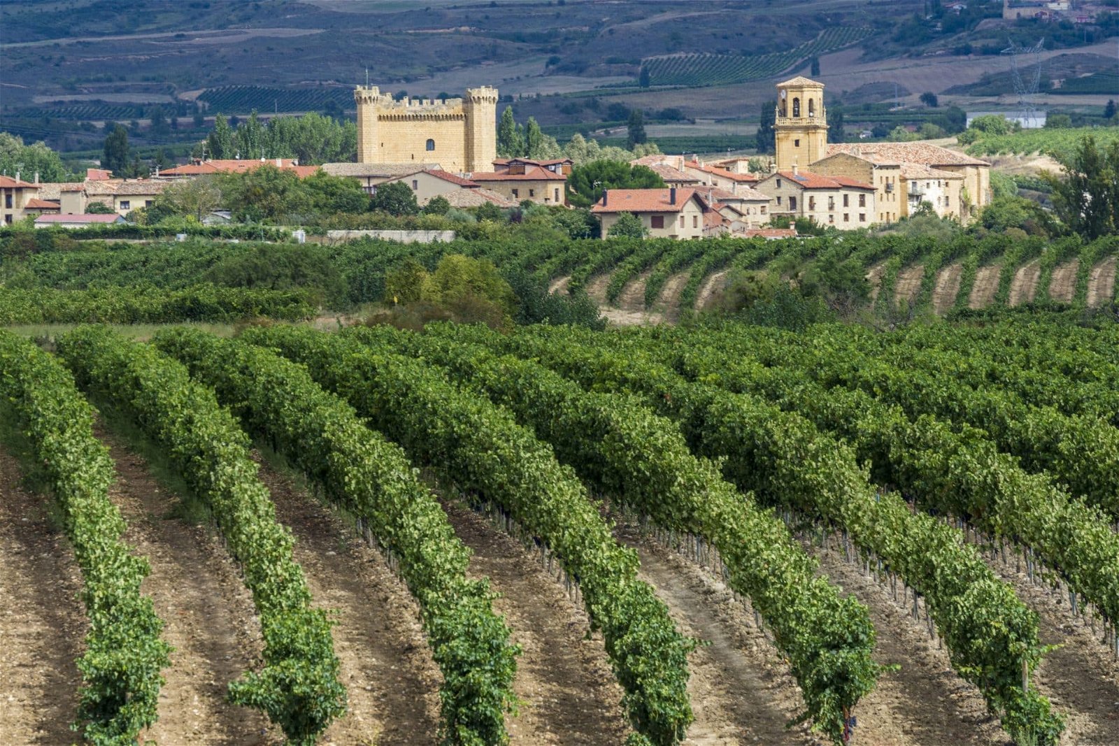Виноградники Испании ла Риоха