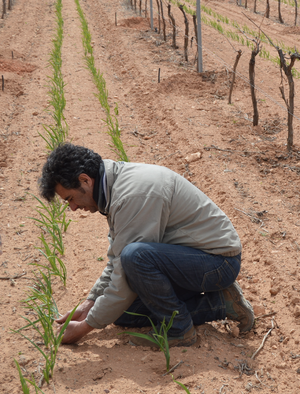 Esencia Rural